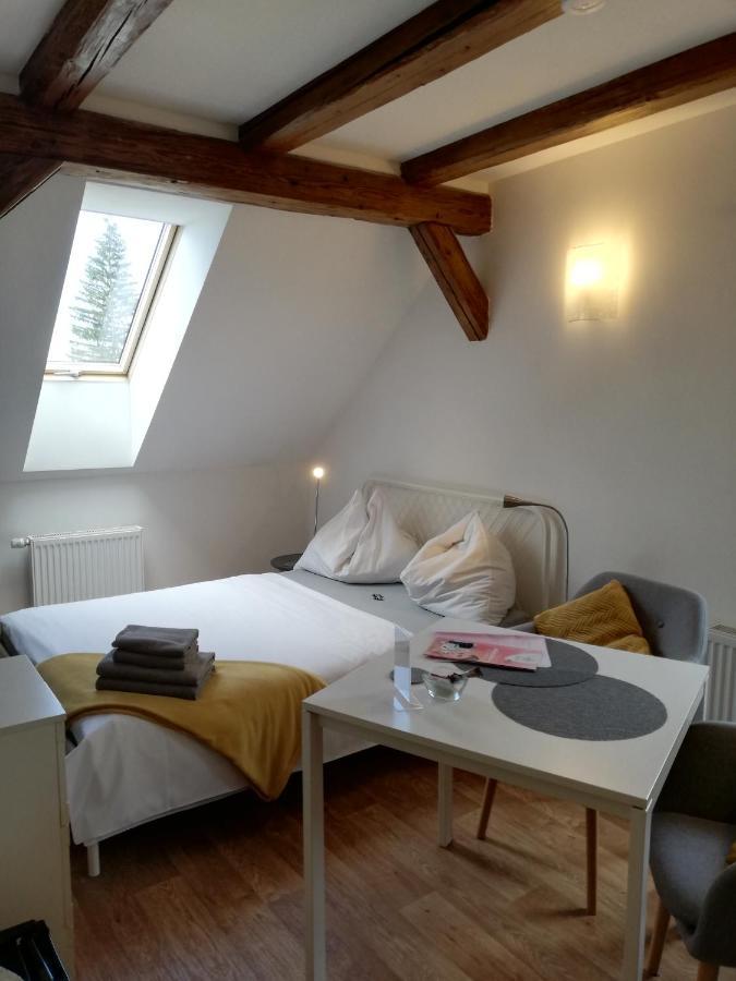 Pension Vila Hana Loket Exteriér fotografie