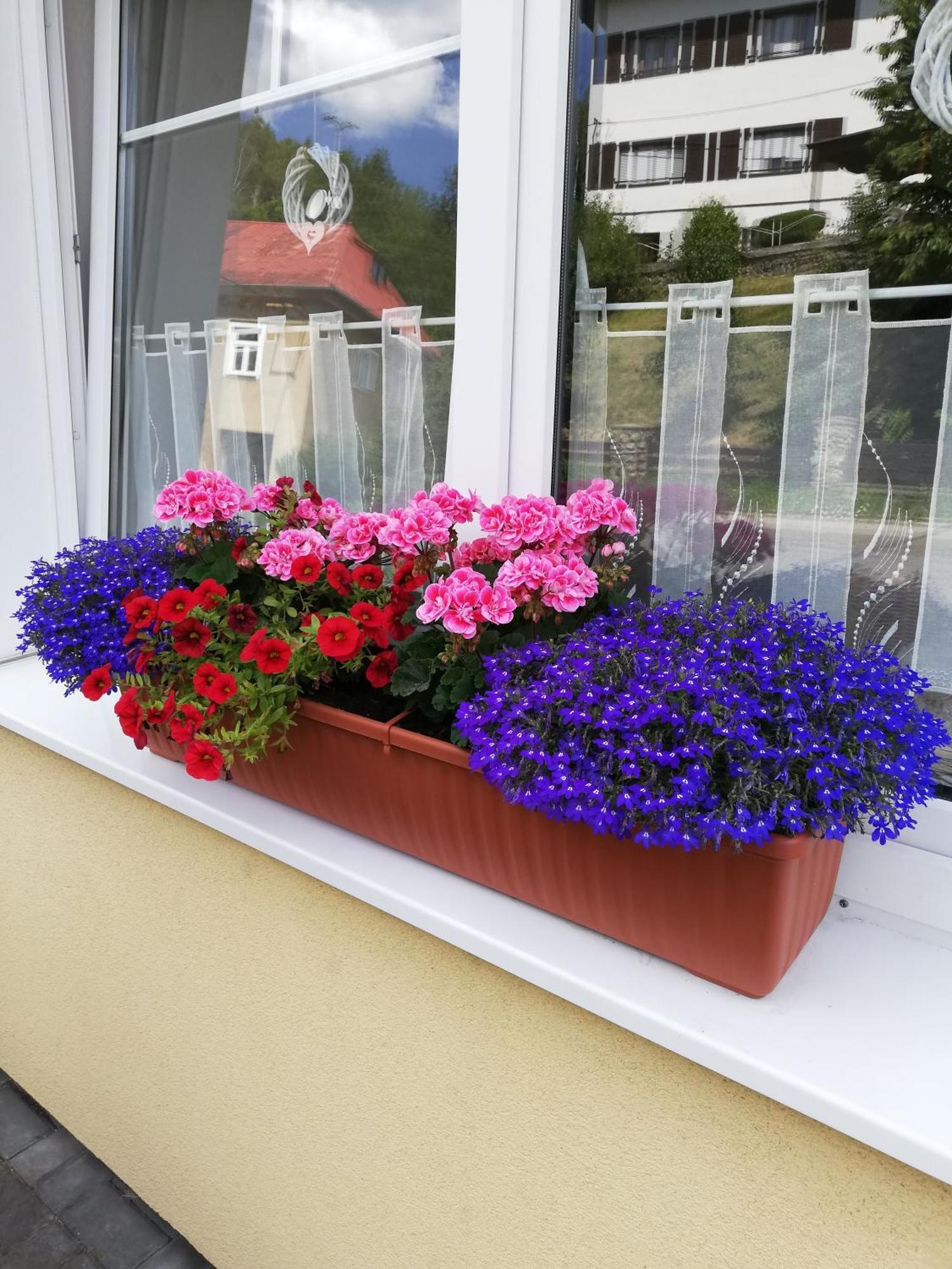 Pension Vila Hana Loket Exteriér fotografie